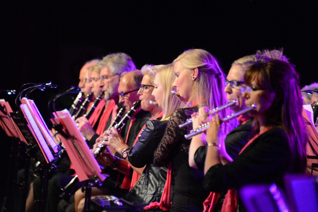 ../Images/Jubileumconcert 100 jaar Harpe Davids 244.jpg